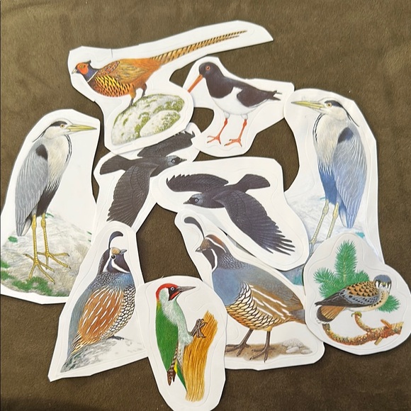 Colorful Bird Stickers Set - beautiful variety, multicolor - Picture 6 of 8